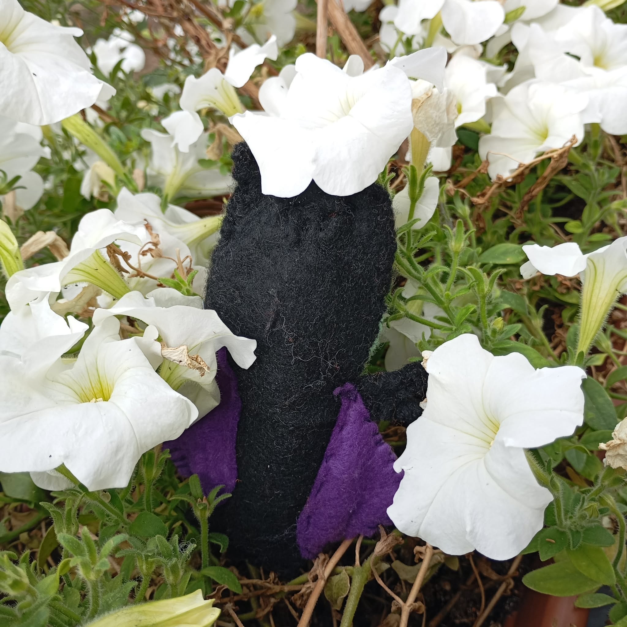 🧙♀️ Poupiche Sorcière Alicia – Compagnon d’aventure à emmener partout – Image 3
