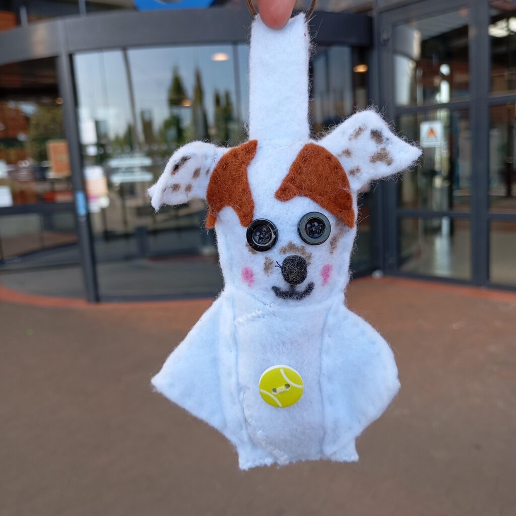 Poupiche Chien – Compagnon d’aventure à emmener partout
