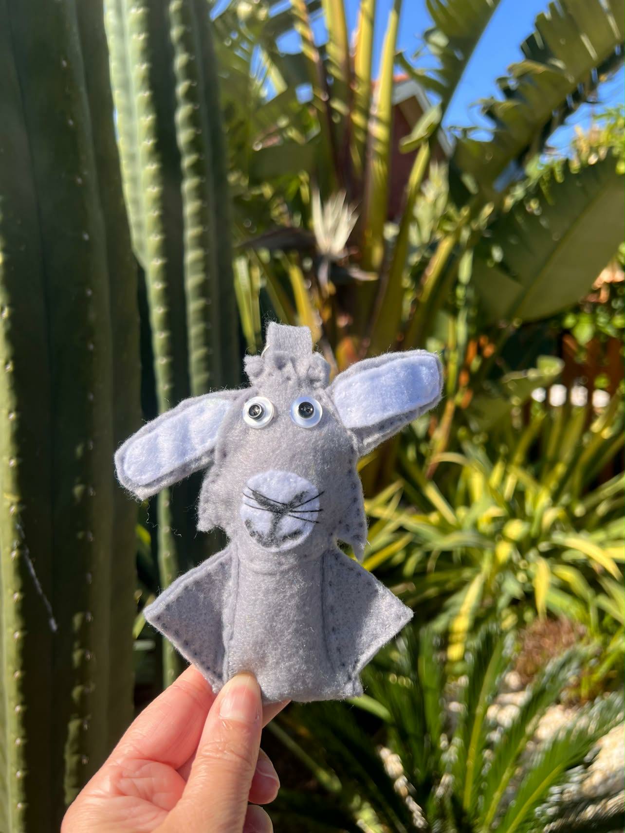 Une Poupiche vient d’arriver en Australie ! 🧸🌏