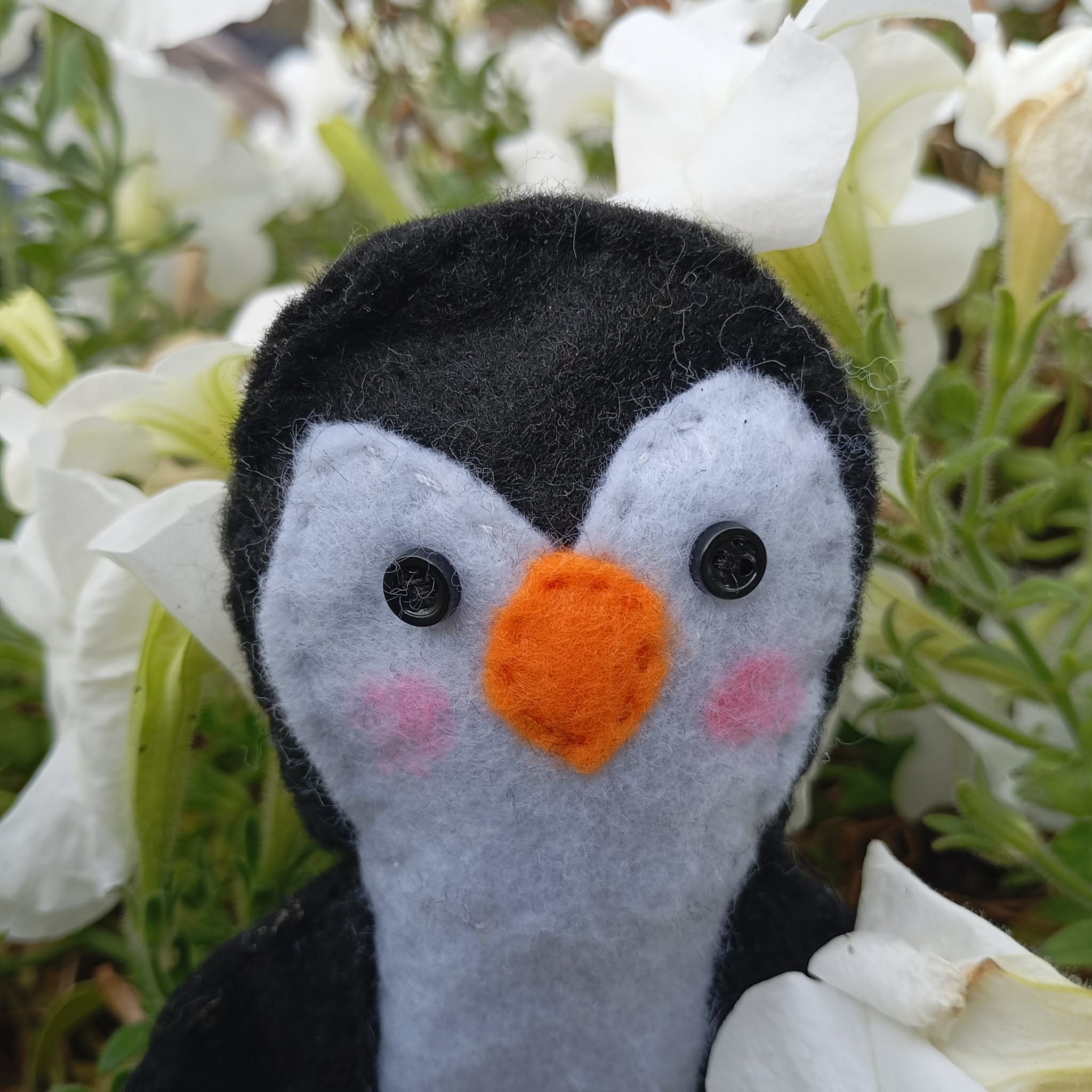 Poupiche Pingouin Guy – Petit compagnon d’aventure à adopter – Image 2